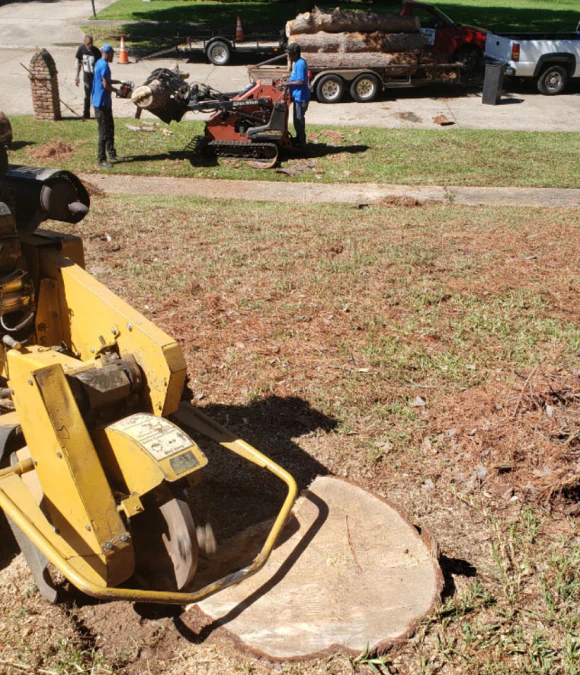 Stump Grinding